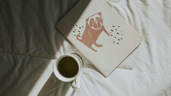 Ruangan Bising? Ini Cara Meredam Suara Ruangan Paling Ampuh!